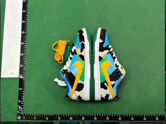 Nike Dunk SB Special Collab QC photo 1