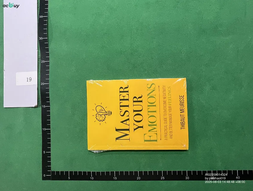 Master your mind book QC photo 1