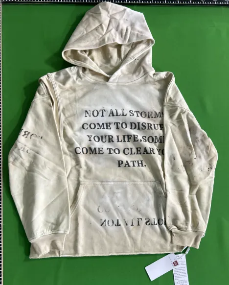 "Shibu" Hoodie QC photo 1