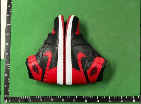 Jordan 1 QC photo 1