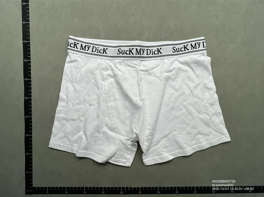 Suck My D*ck Underwear QC photo 1