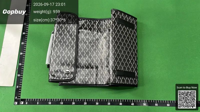 Goyard Backpack QC photo 1