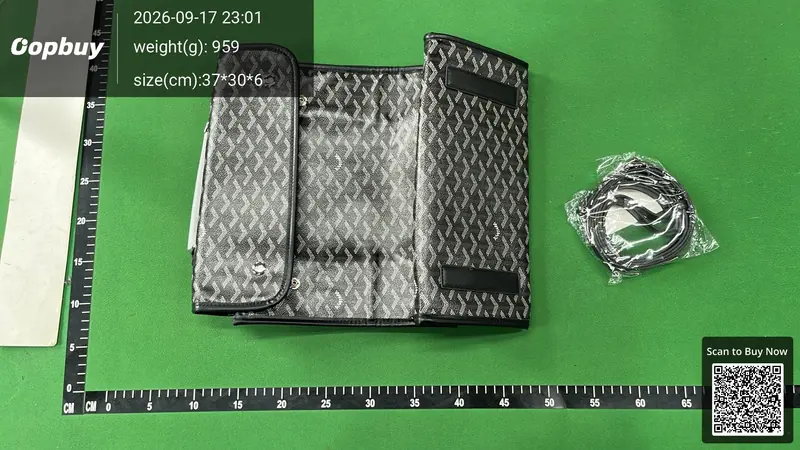 Goyard Backpack QC photo 3