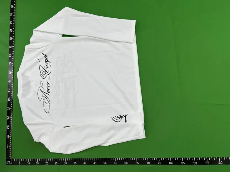 Forgetraven Longsleeve QC photo 8