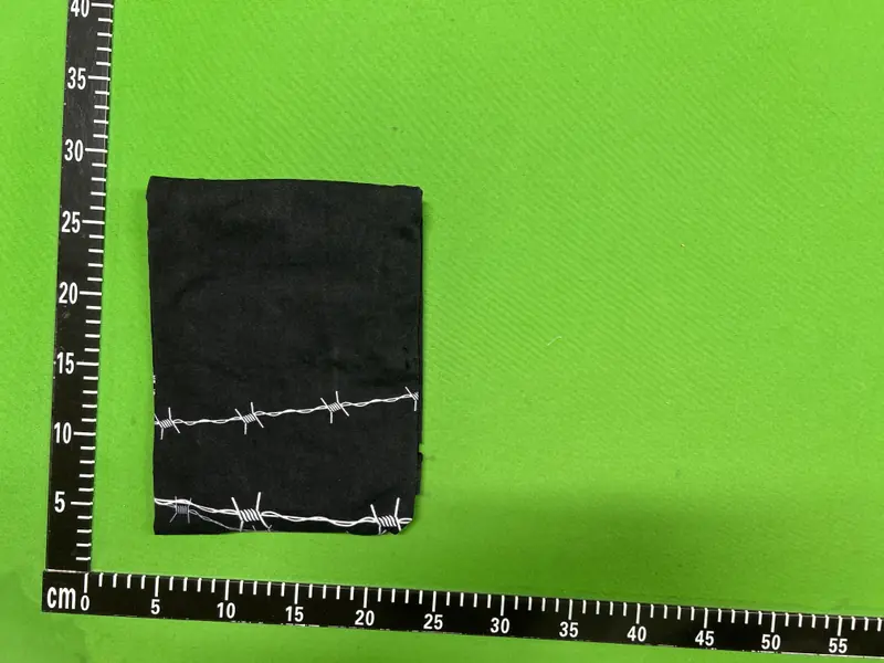 Shibu "Punk" V2 Tee QC photo 10