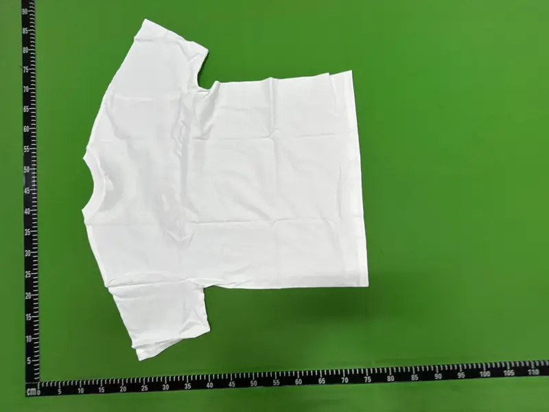 FedSex T-Shirt QC photo 5