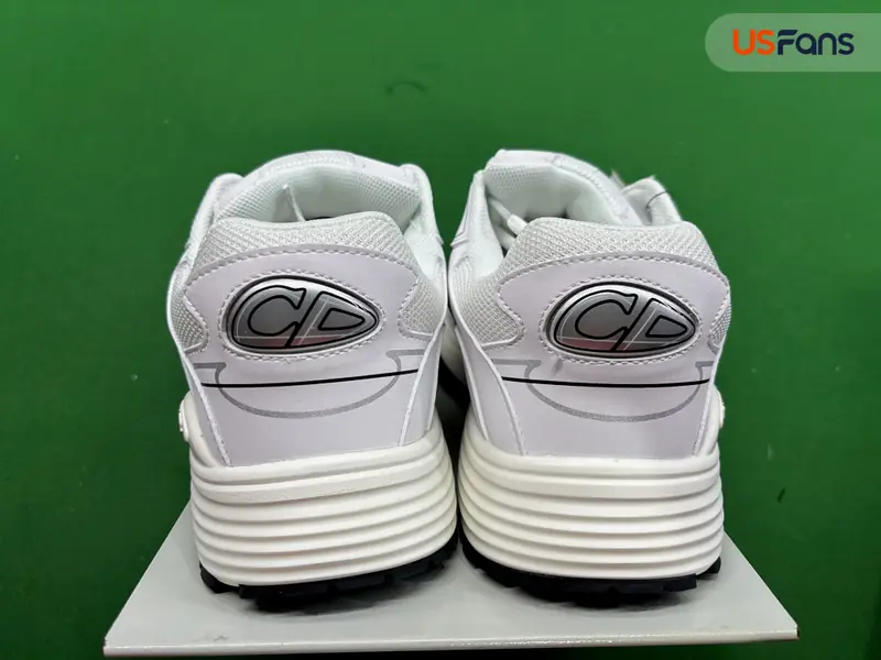 Dior B30 QC photo 12