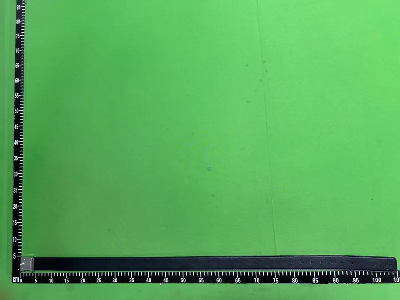 Burberry Belt QC photo 17