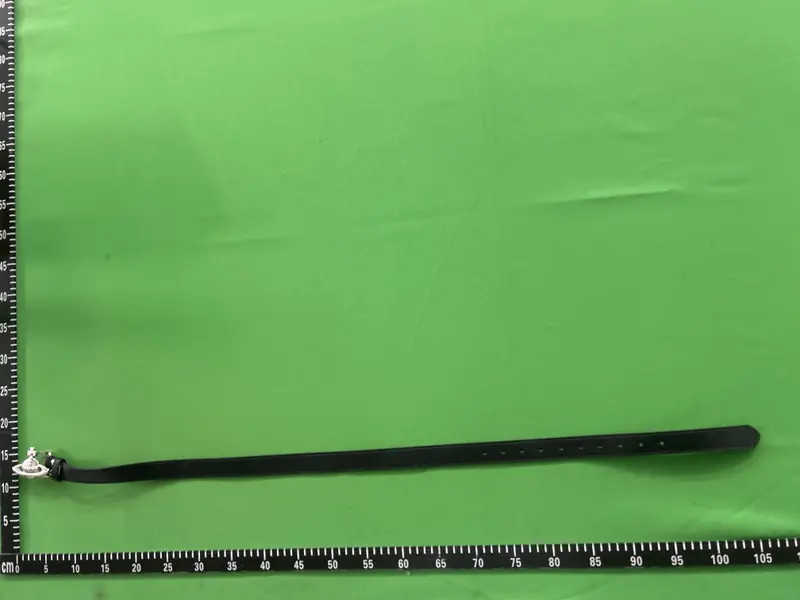 Budget Vivienne Westwood Belts QC photo 14
