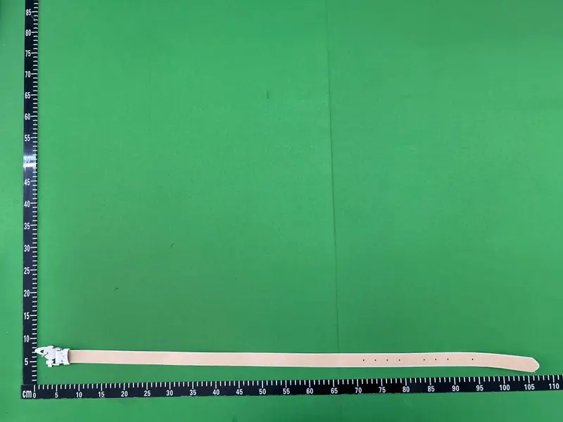 Budget Vivienne Westwood Belts QC photo 19