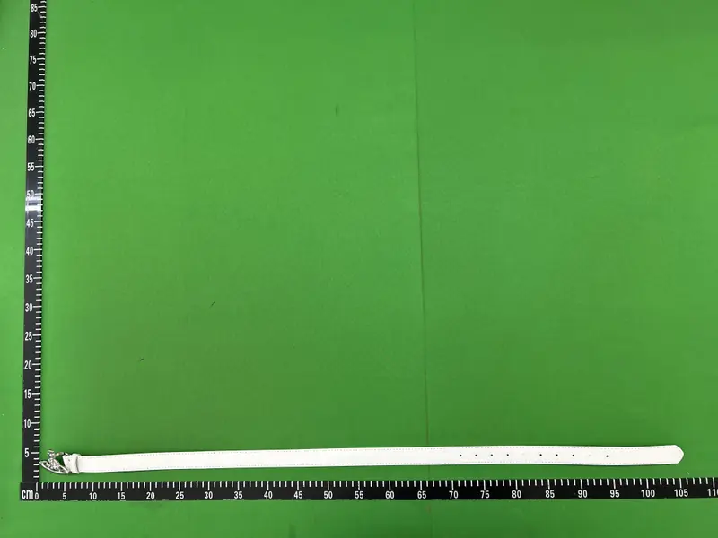 Budget Vivienne Westwood Belts QC photo 20