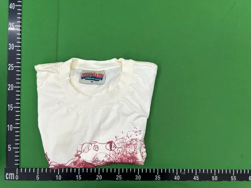 Shibu Bloody Tee QC photo 5