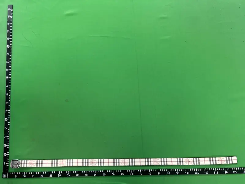 Burberry belt QC photo 16