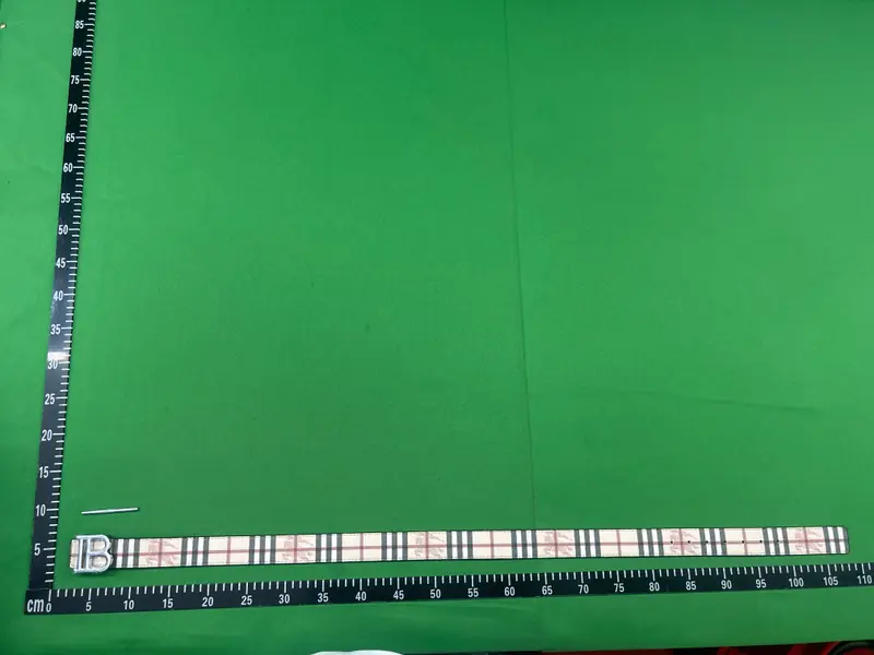 Burberry belt QC photo 8