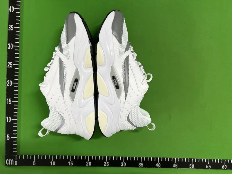 Dior B22 QC photo 6