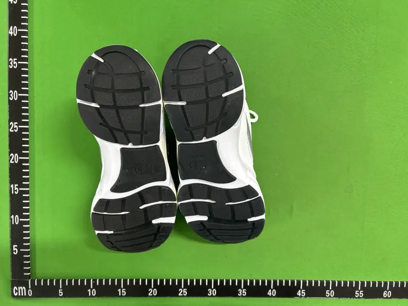 Dior B22 QC photo 7