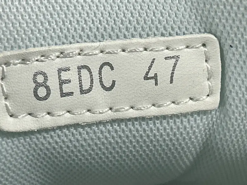 Dior B22 QC photo 8