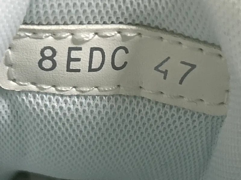 Dior B22 QC photo 9