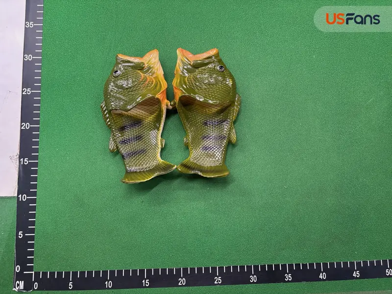 Fish Slides QC photo 2