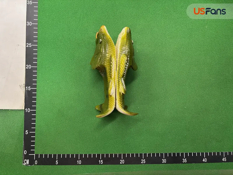 Fish Slides QC photo 5