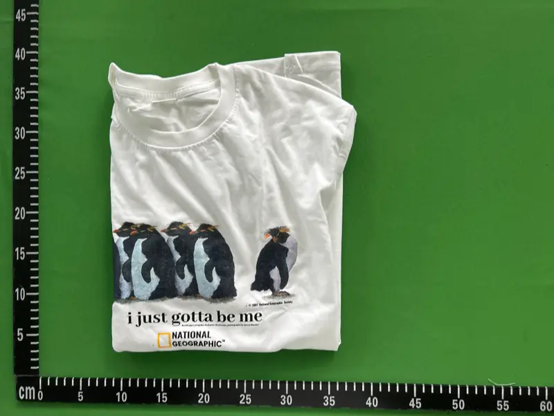 National Geographic "i just gotta be me" T-shirt QC photo 12