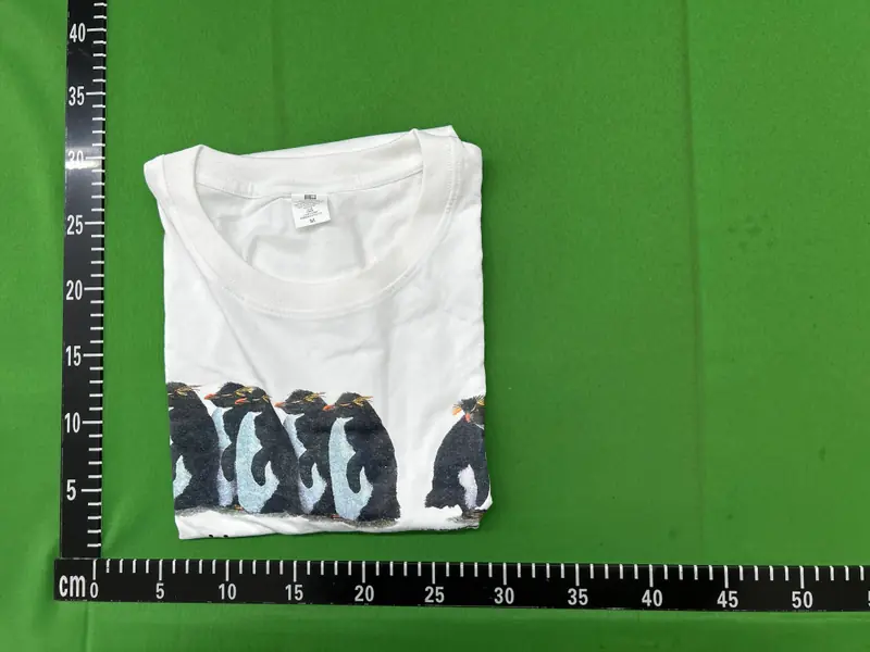 National Geographic "i just gotta be me" T-shirt QC photo 14