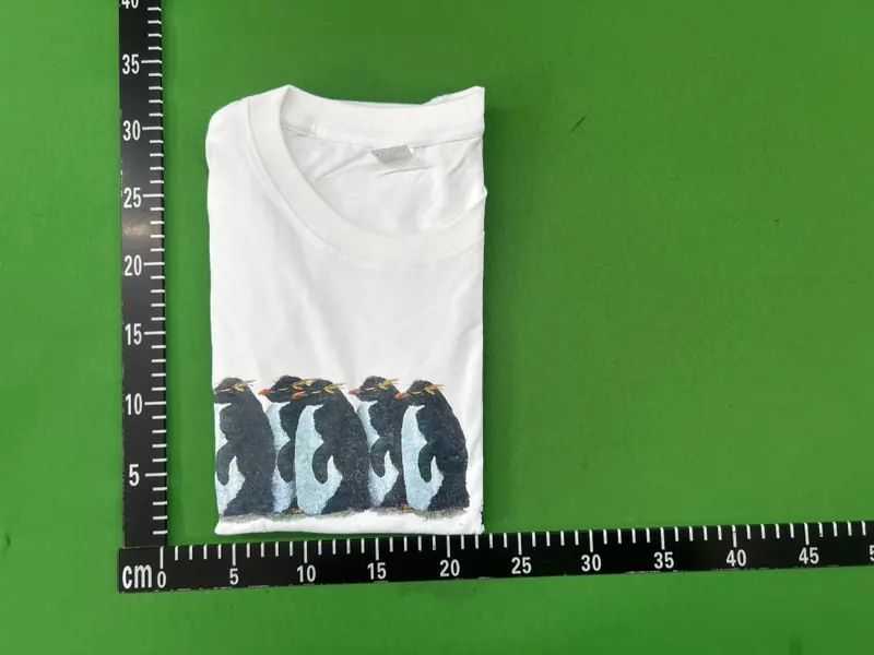 National Geographic "i just gotta be me" T-shirt QC photo 18