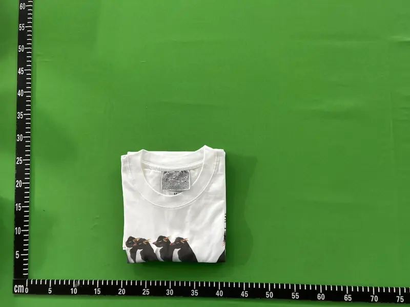 National Geographic "i just gotta be me" T-shirt QC photo 6