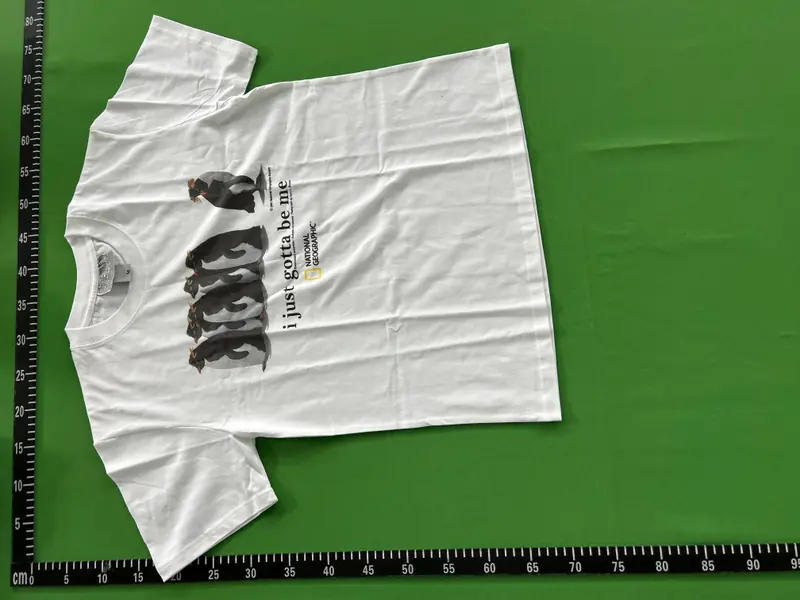 National Geographic "i just gotta be me" T-shirt QC photo 8