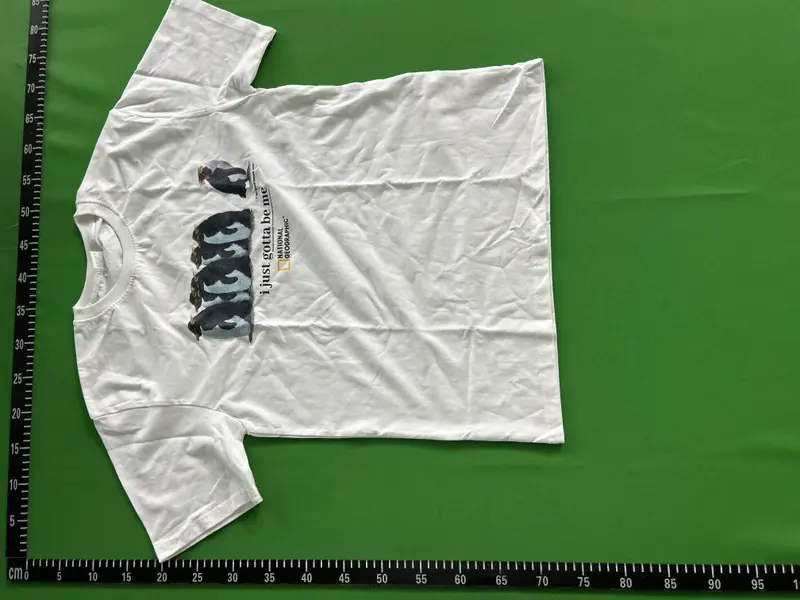 National Geographic "i just gotta be me" T-shirt QC photo 10