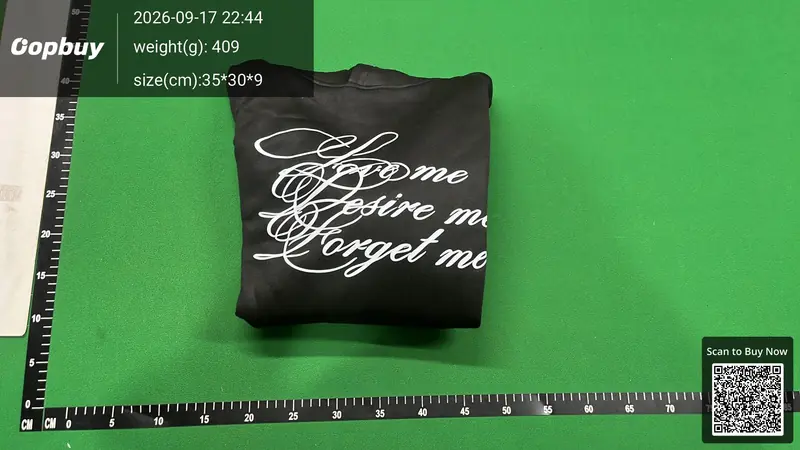 Forgetraven Hoodie QC photo 13