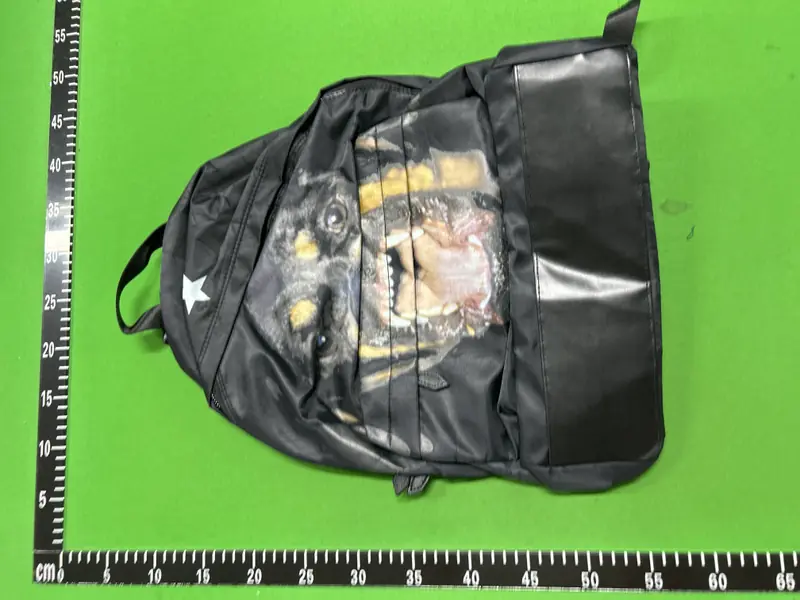 Givenchy Rottweiler Backpack QC photo 10