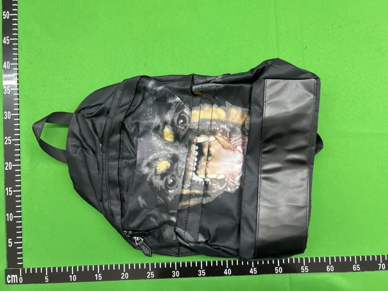 Givenchy Rottweiler Backpack QC photo 13