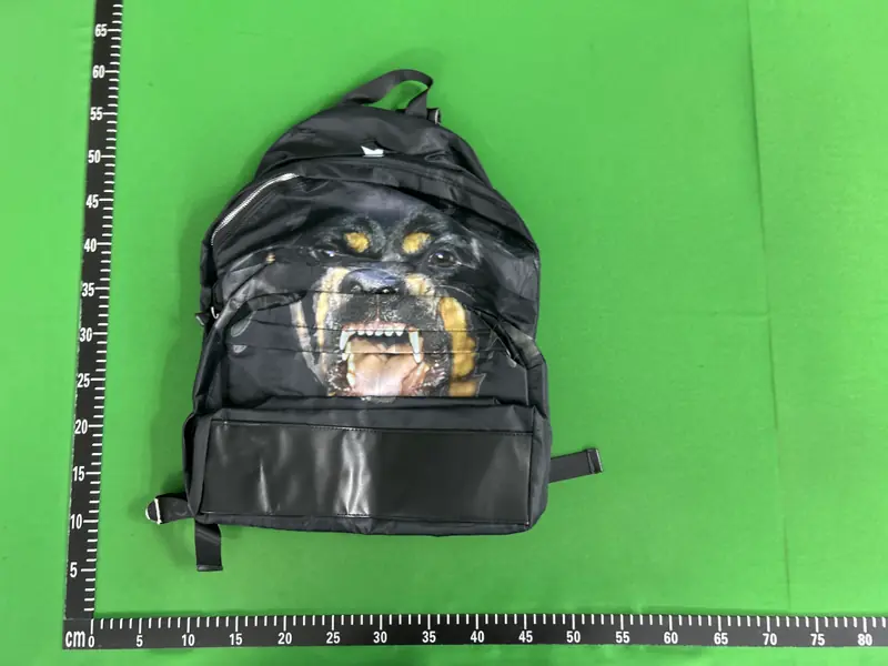 Givenchy Rottweiler Backpack QC photo 15