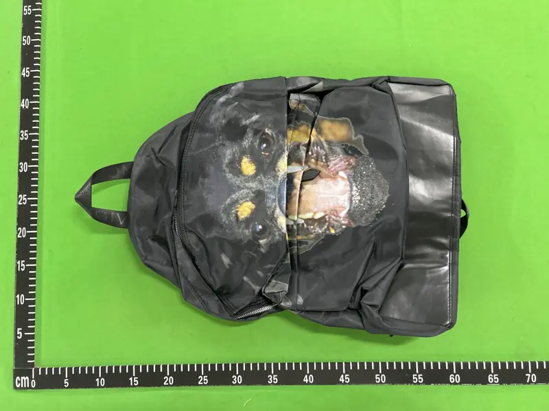 Givenchy Rottweiler Backpack QC photo 17