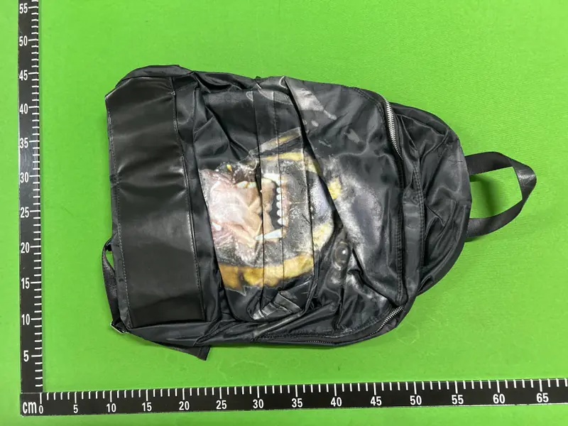 Givenchy Rottweiler Backpack QC photo 19