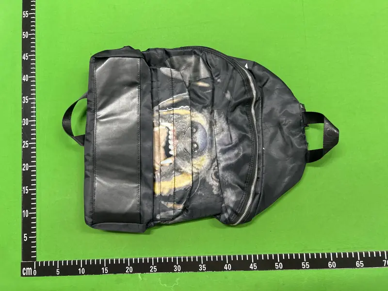 Givenchy Rottweiler Backpack QC photo 4