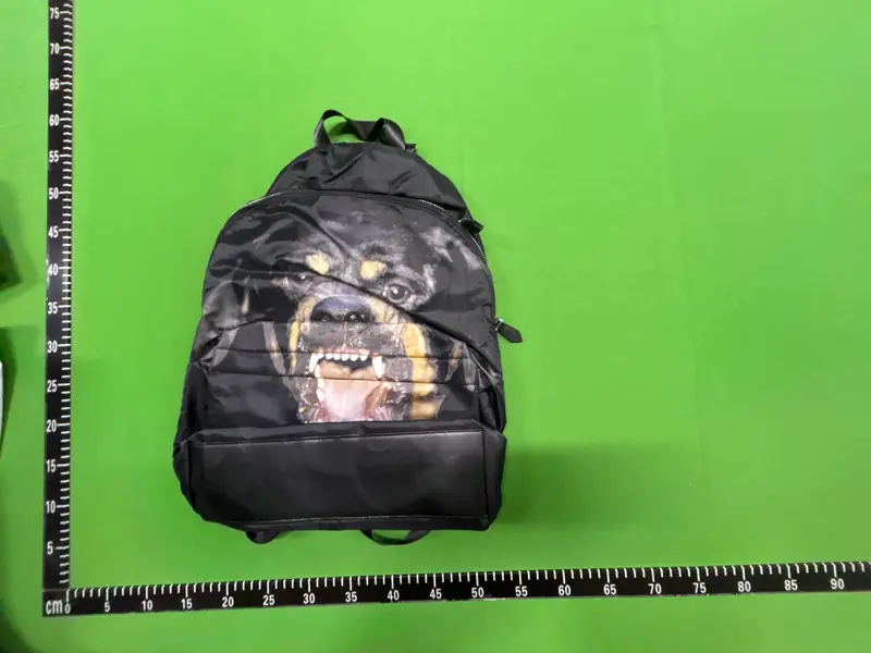 Givenchy Rottweiler Backpack QC photo 8