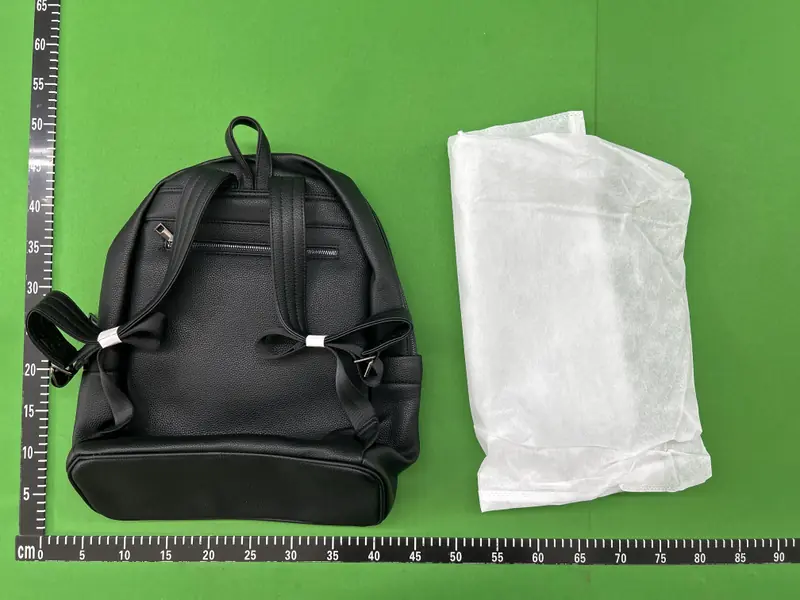 Vlieger Vandam Gun Backpack QC photo 11