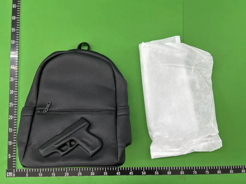 Vlieger Vandam Gun Backpack QC photo 12