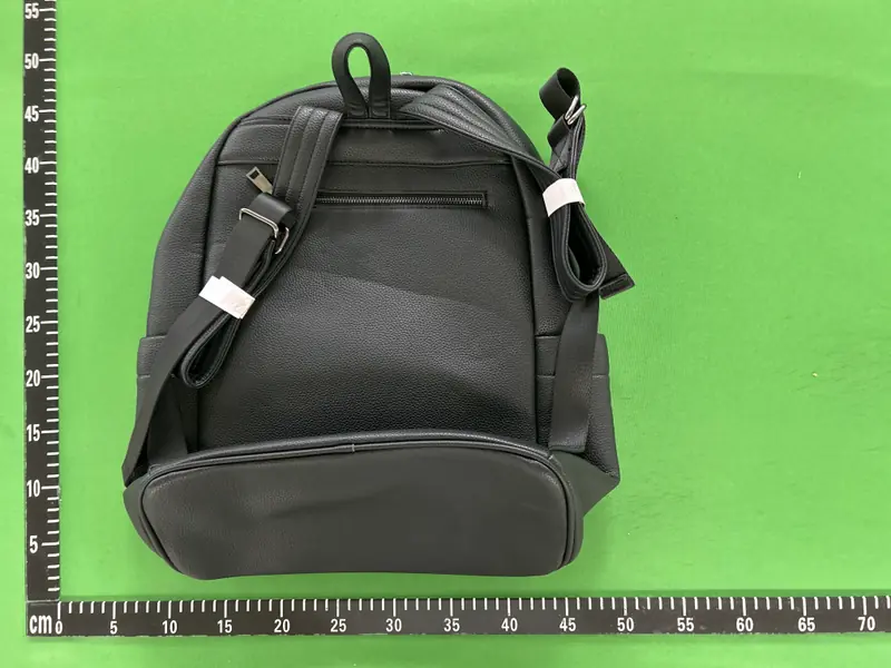 Vlieger Vandam Gun Backpack QC photo 16