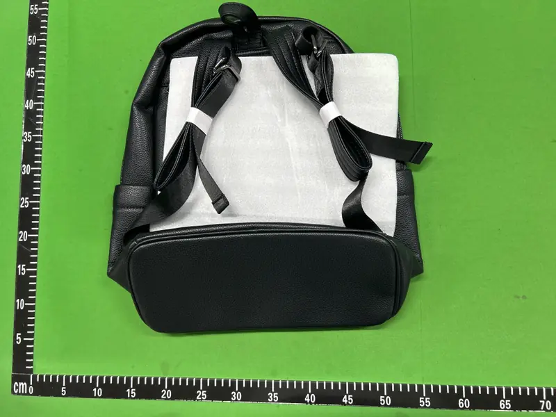 Vlieger Vandam Gun Backpack QC photo 8