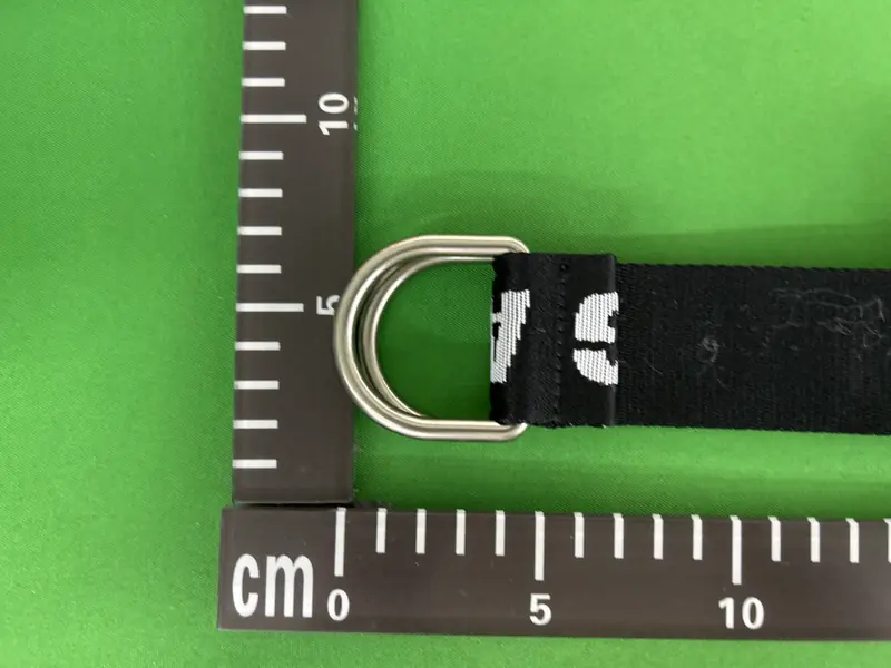 Balenciaga D Ring Belt QC photo 11