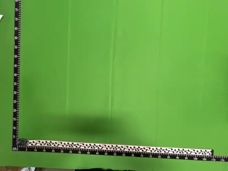 Number (N)ine Music Note Belt QC photo 17