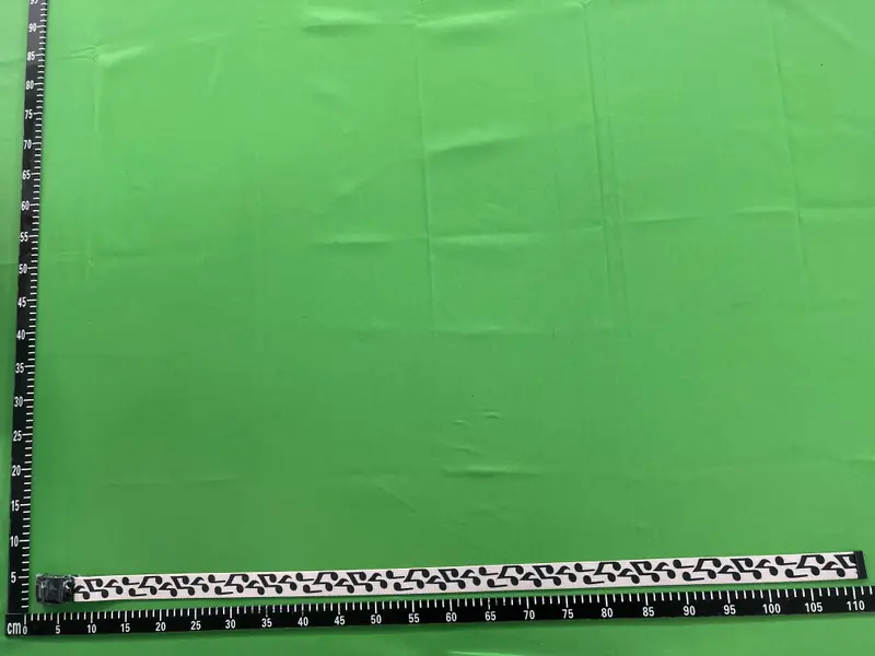 Number (N)ine Music Note Belt QC photo 8