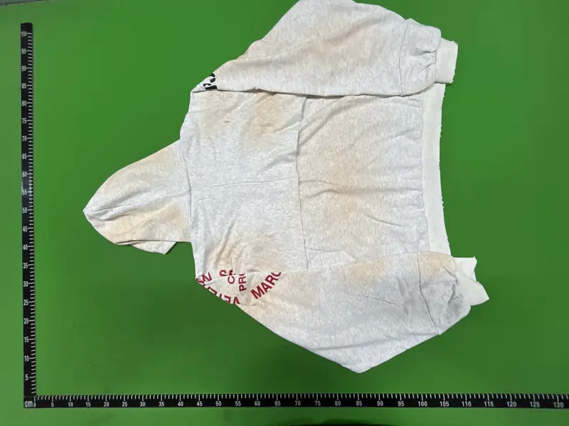 Navy Hoodie QC photo 7