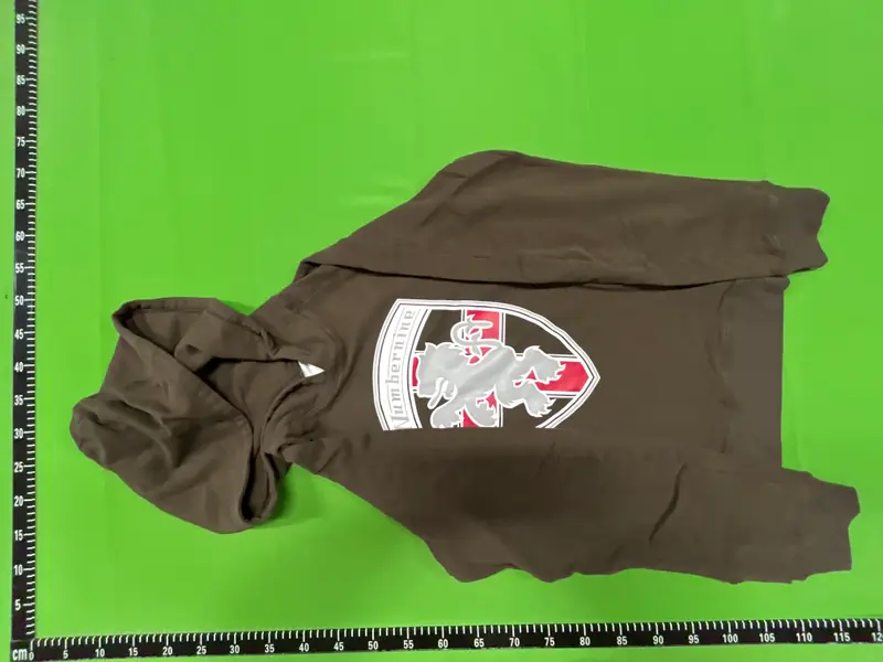 Number Nine Lambretta Shield Hoodie QC photo 11