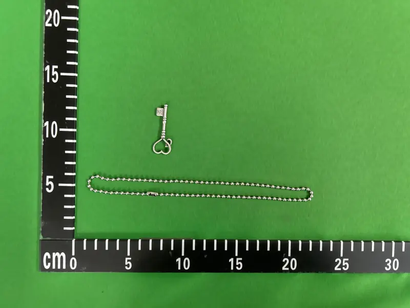Number Nine Crying Heart Chain QC photo 16