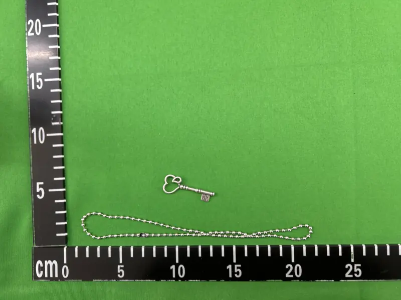 Number Nine Crying Heart Chain QC photo 5