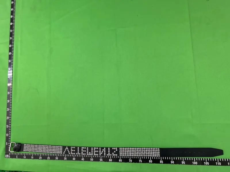 Vetements Studded Spellout Belt QC photo 3